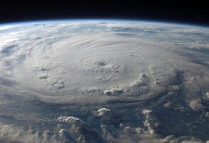 Read more about the article Ultimate Hurricane Prep for Families, Pets, and Peace of Mind